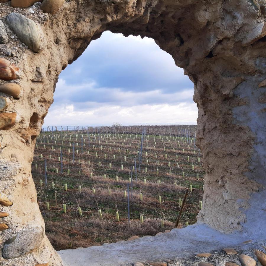 Le Pressoir Villa Mercurol-Veaunes Buitenkant foto