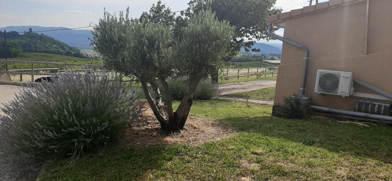 Le Pressoir Villa Mercurol-Veaunes Buitenkant foto